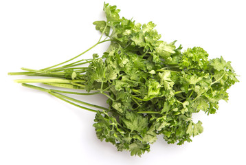 Parsley herb leaves over white background