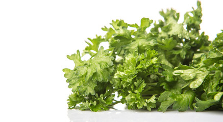 Parsley herb leaves over white background