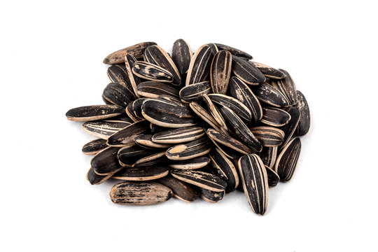 sunflower seeds on a white background