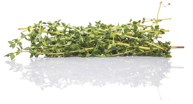 Thyme herbs leaves over white background