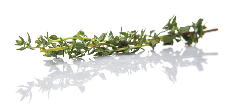 Thyme herbs leaves over white background