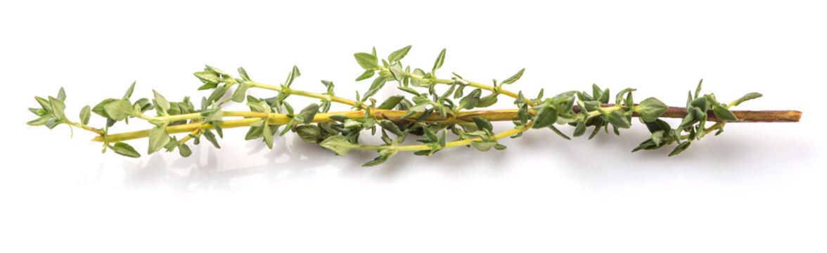 Thyme herbs leaves over white background