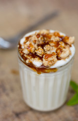Yogurt with cereal
