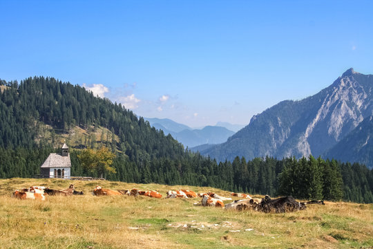 Kapelle auf der Postalm, Salzkammergut 