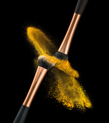 Makeup Brush Powder Explosion