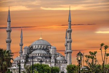 Fototapeta na wymiar Blue mosque Sultanahmet, Istanbul, Turkey