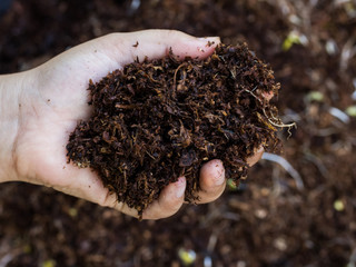 Hand holding soil surface top view