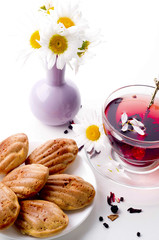 Madeleine homemade cakes