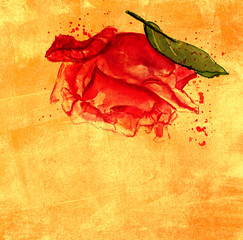 Watercolour rose on golden textured background