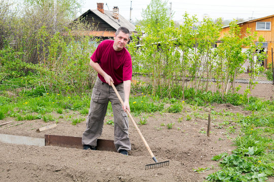 Man leveled seedbed rake in the garden