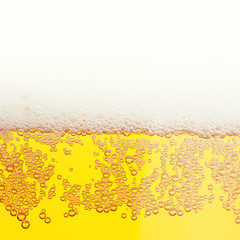 Beer bubbles