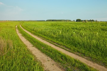 Fototapeta na wymiar Field with path
