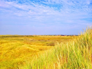 Dünenlandschaft mit Ferienhäusern in Dänemark