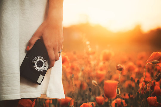 Vintage camera in woman hand on poppy field