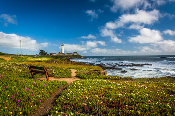 Bench and view of Piegon Point Lighthouse in Pescadero, Californ