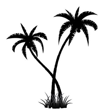 Black palm tree silhouette on white background