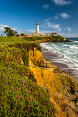 Fototapeta na wymiar Flowers and view of Piegon Point Lighthouse in Pescadero, Califo