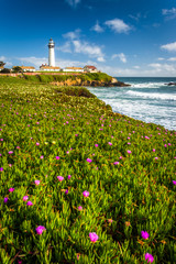 Fototapeta na wymiar Flowers and view of Piegon Point Lighthouse in Pescadero, Califo