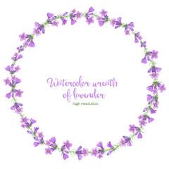 Watercolor wreath of lavender.
