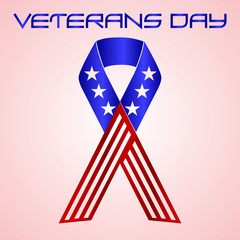 american veterans day celebration in americal colors eps10