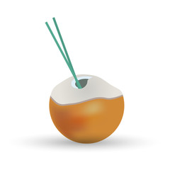 drinking sweet coconut milk from coconut eps10