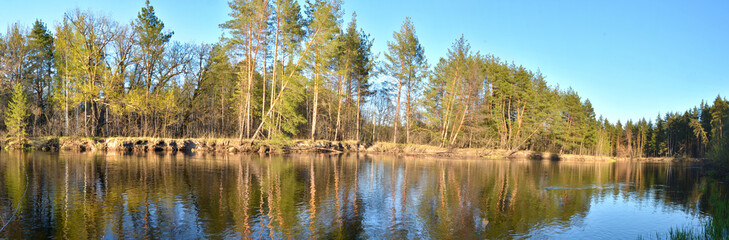 Panorama of spring river.