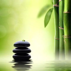 Obrazy na Plexi  Koncepcja Zen. Czarne kamienie spa w zielonym bambusowym lesie