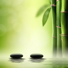 Fototapeta na wymiar Zen concept. Black spa stones in green bamboo forest