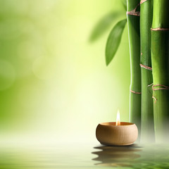 Zen concept. Candle in green bamboo forest