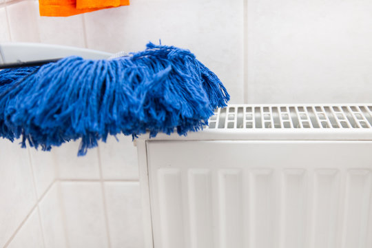 cleaning - Staubwedel,  reinigen, putzen
