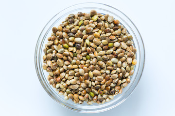 Hemp seeds in the glass bowl