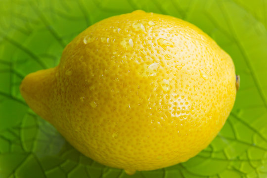 Whole lemon with water drops