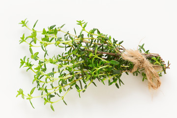 Fresh green thyme branch close up