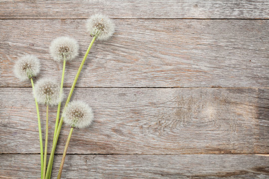 Fototapeta Dandelion flowers on wood