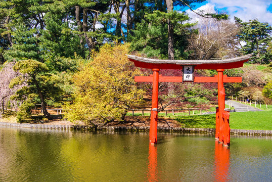 Jardin Japones