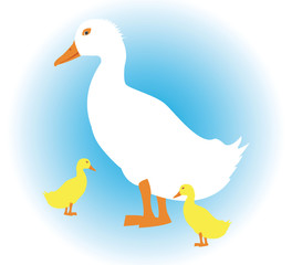 duck with ducklings