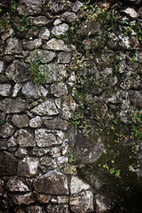 Obraz premium stone wall
