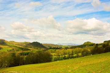 Rural landscape in Scottish Highlands with forests and grazing f