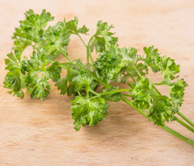 Parsley herbs leaves on wooden surface