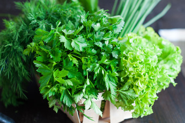 Fresh Greens with Lettuce, Parsley, Spring onion
