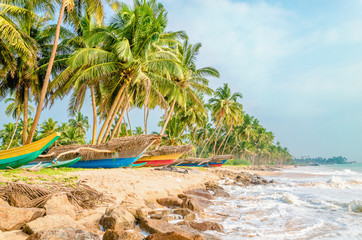 Tropical beach, palms and colorful fishing boats