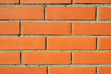 Obraz premium Texture