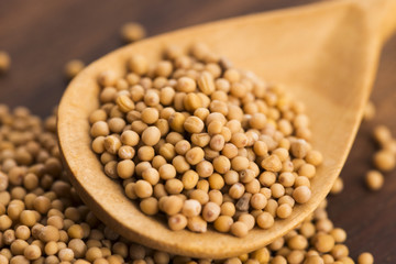 Spicy mustard seeds in a wooden background
