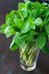 fresh mint leaves on a wooden background © Titarenko