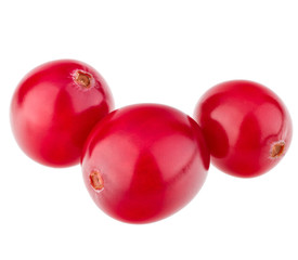 cranberry  isolated on white background cutout