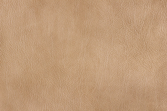 Tan Leather Images – Browse 31,362 Stock Photos, Vectors, and Video | Adobe  Stock