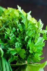 Fresh Greens with Lettuce, Parsley, Spring onion