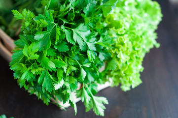 Fresh Greens with Lettuce, Mint, Parsley, Spring onion