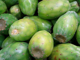 Prickly pear fruit