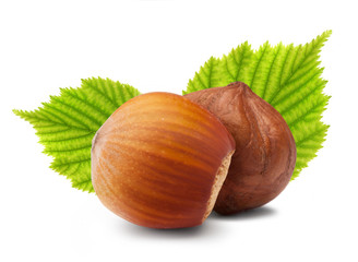 Ripe brown hazelnuts with green leaves on white background